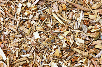 Biomasse-Musterbild 
