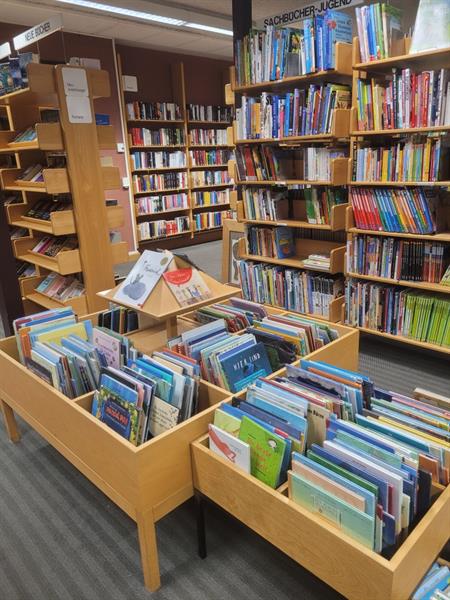 eine Bibliothek mit Büchern in Regalen
