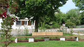Oberer Kirchplatz Hörbranz: Neugestaltung Grünfläche