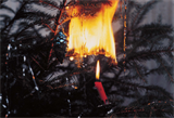 Weihnachtsbaum in Flammen